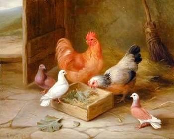 unknow artist Poultry 093 Germany oil painting art